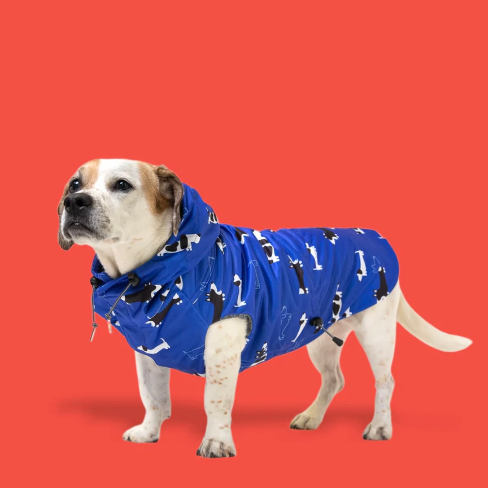 Long Dog Clothing Low Rider Stretch Raincoat